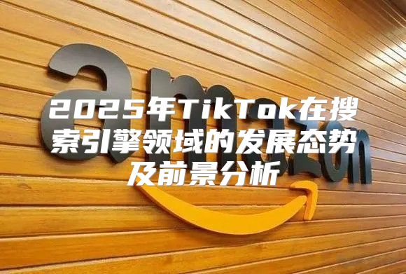 2025年TikTok在搜索引擎领域的发展态势及前景分析