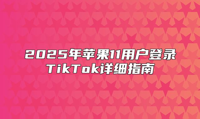 2025年苹果11用户登录TikTok详细指南