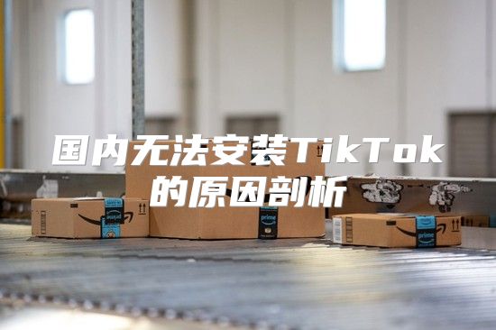 国内无法安装TikTok的原因剖析