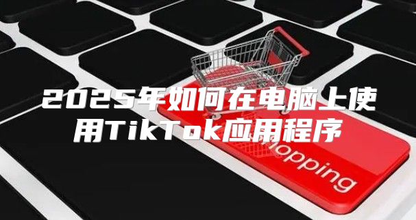 2025年如何在电脑上使用TikTok应用程序