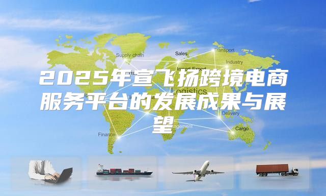 2025年宣飞扬跨境电商服务平台的发展成果与展望