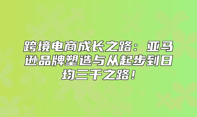 跨境电商成长之路：亚马逊品牌塑造与从起步到日均三千之路！