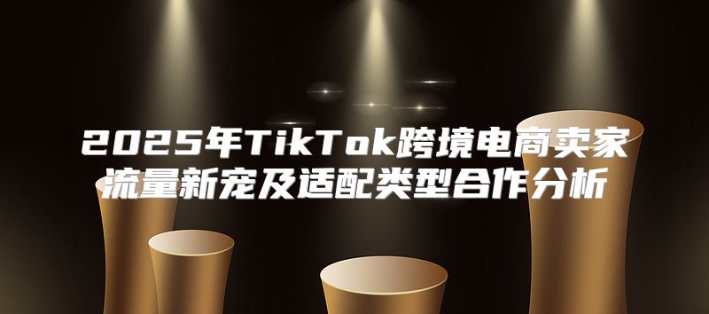 2025年TikTok跨境电商卖家流量新宠及适配类型合作分析