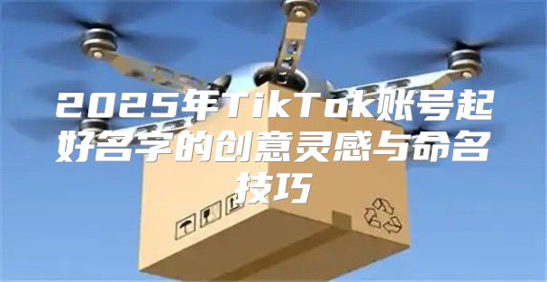 2025年TikTok账号起好名字的创意灵感与命名技巧