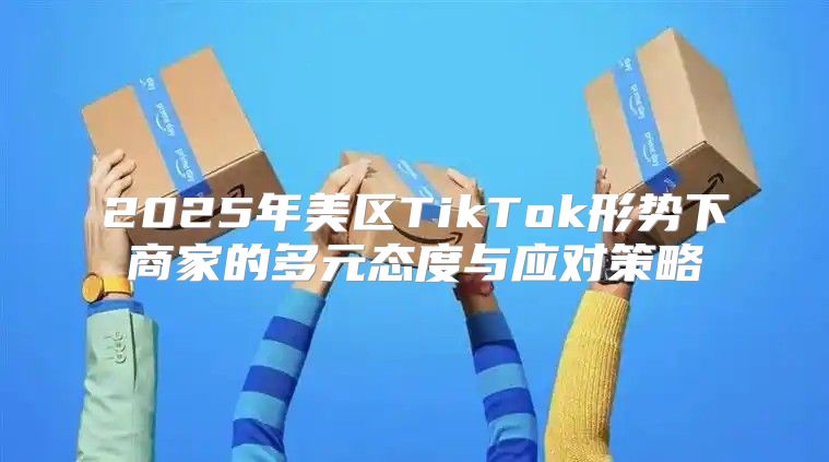 2025年美区TikTok形势下商家的多元态度与应对策略