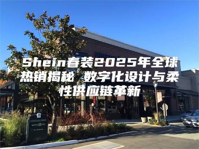 Shein春装2025年全球热销揭秘 数字化设计与柔性供应链革新