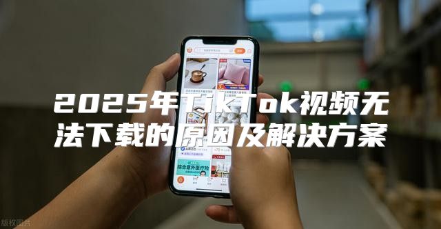 2025年TikTok视频无法下载的原因及解决方案
