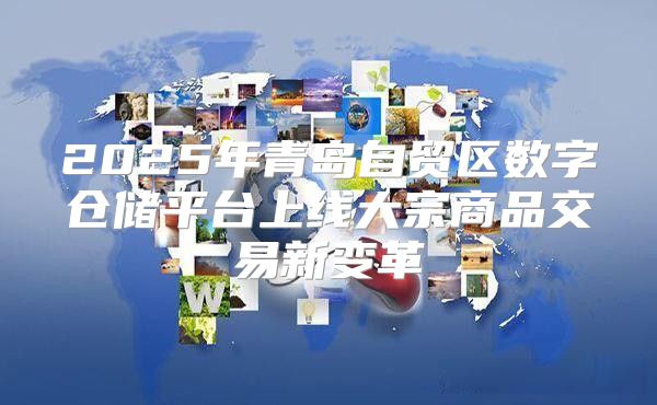2025年青岛自贸区数字仓储平台上线大宗商品交易新变革