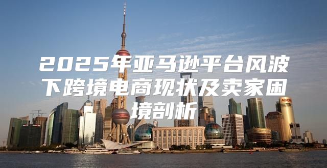 2025年亚马逊平台风波下跨境电商现状及卖家困境剖析