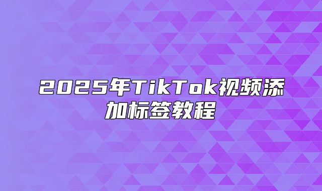 2025年TikTok视频添加标签教程