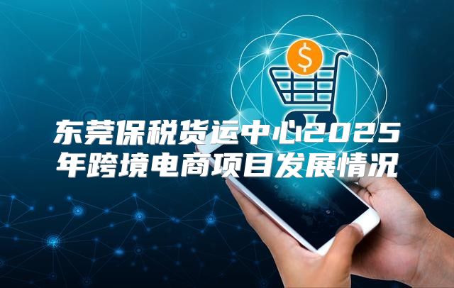 东莞保税货运中心2025年跨境电商项目发展情况