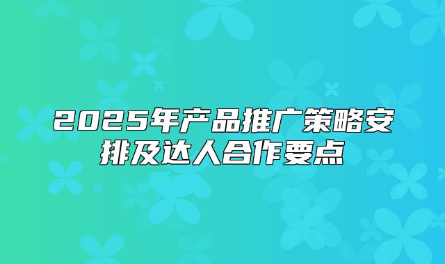 2025年产品推广策略安排及达人合作要点
