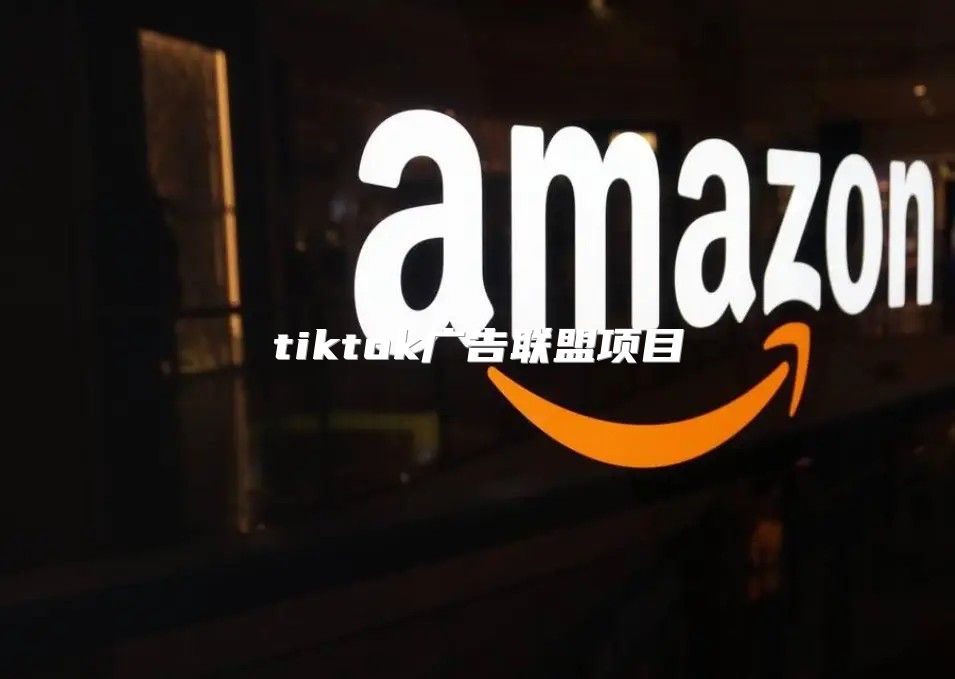 tiktok广告联盟项目
