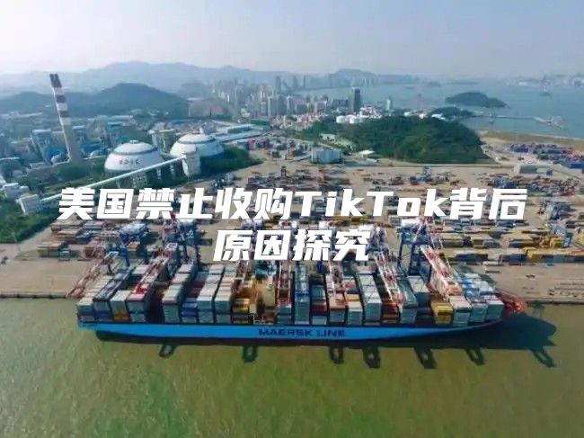 美国禁止收购TikTok背后原因探究