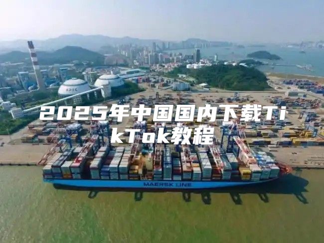 2025年中国国内下载TikTok教程