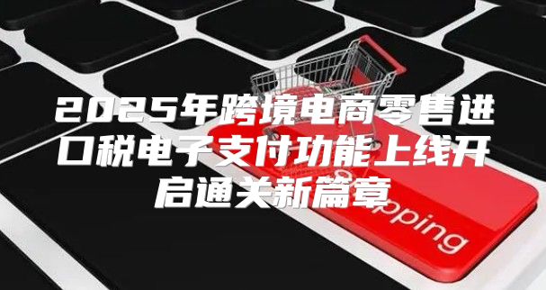 2025年跨境电商零售进口税电子支付功能上线开启通关新篇章
