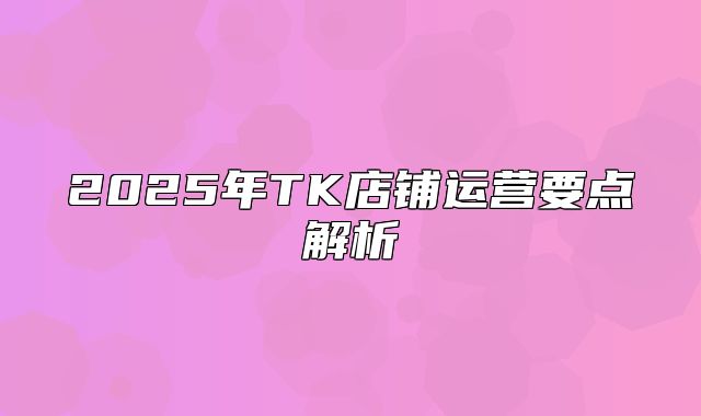 2025年TK店铺运营要点解析