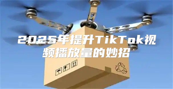 2025年提升TikTok视频播放量的妙招