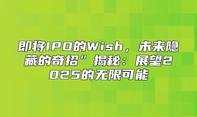 即将IPO的Wish，未来隐藏的奇招”揭秘：展望2025的无限可能