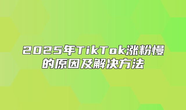 2025年TikTok涨粉慢的原因及解决方法