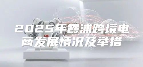 2025年霞浦跨境电商发展情况及举措