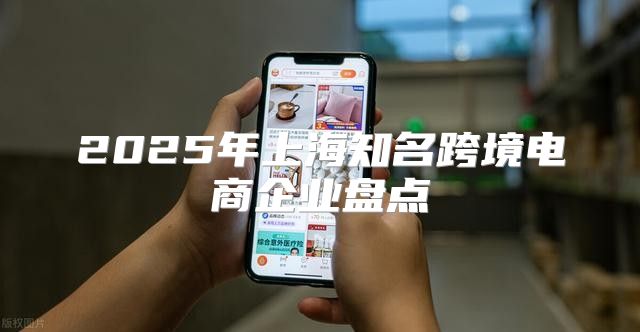 2025年上海知名跨境电商企业盘点