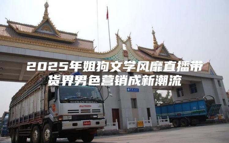 2025年姐狗文学风靡直播带货界男色营销成新潮流