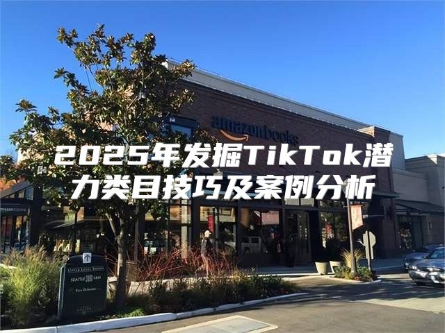 2025年发掘TikTok潜力类目技巧及案例分析