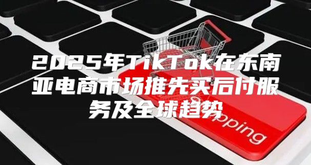2025年TikTok在东南亚电商市场推先买后付服务及全球趋势