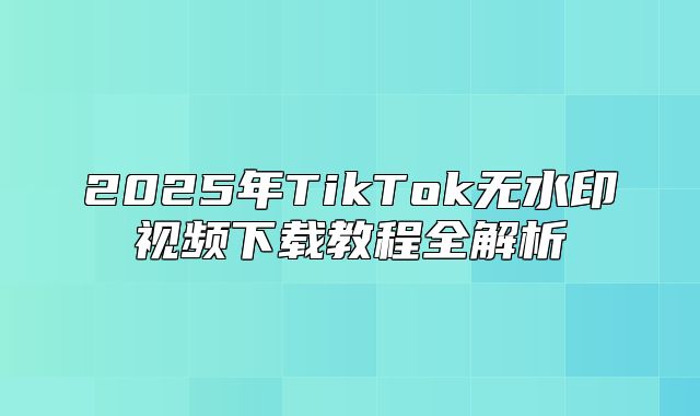 2025年TikTok无水印视频下载教程全解析