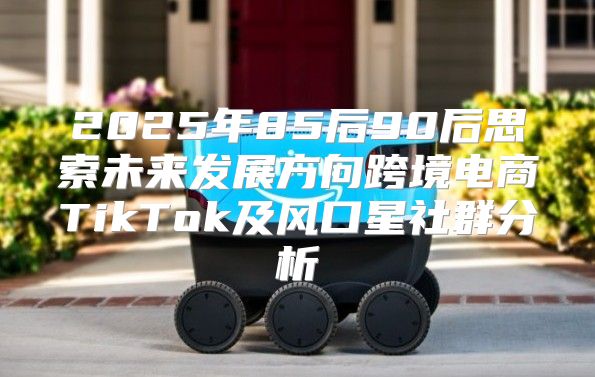 2025年85后90后思索未来发展方向跨境电商TikTok及风口星社群分析