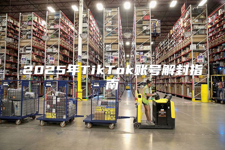 2025年TikTok账号解封指南