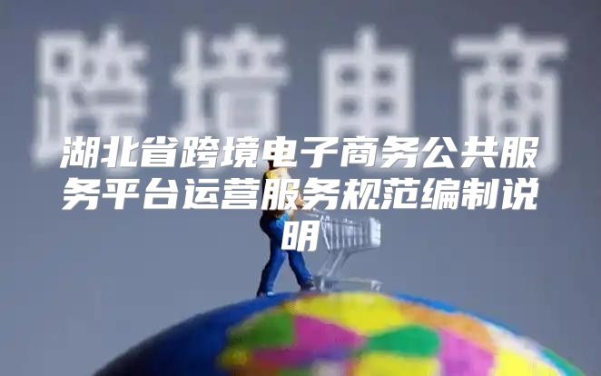 湖北省跨境电子商务公共服务平台运营服务规范编制说明