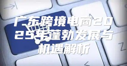 广东跨境电商2025年蓬勃发展与机遇解析