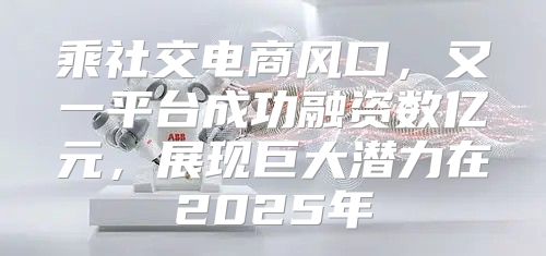 乘社交电商风口，又一平台成功融资数亿元，展现巨大潜力在2025年