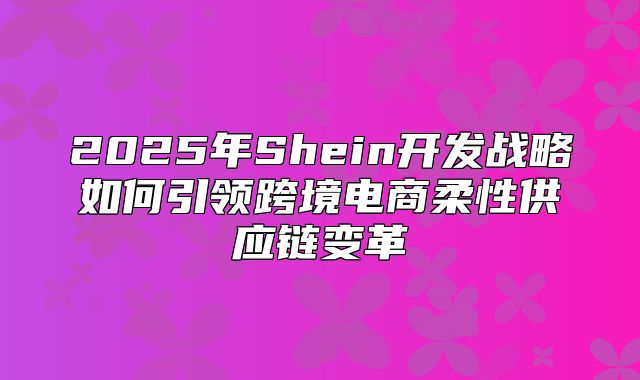 2025年Shein开发战略如何引领跨境电商柔性供应链变革