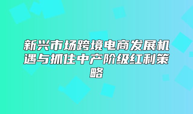 新兴市场跨境电商发展机遇与抓住中产阶级红利策略
