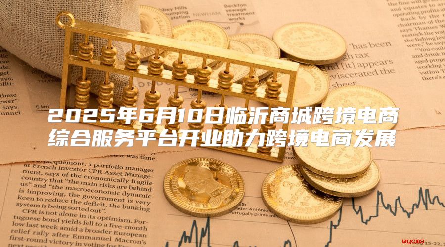 2025年6月10日临沂商城跨境电商综合服务平台开业助力跨境电商发展