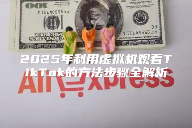 2025年利用虚拟机观看TikTok的方法步骤全解析