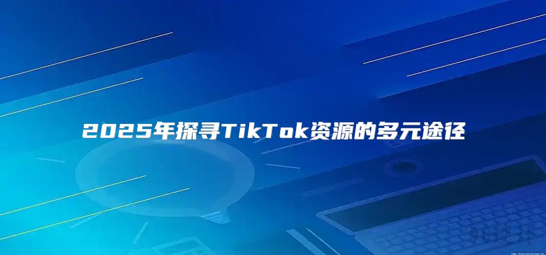 2025年探寻TikTok资源的多元途径