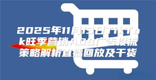 2025年11月13日TikTok旺季营销ADS广告投流策略解析直播回放及干货