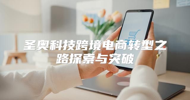 圣奥科技跨境电商转型之路探索与突破