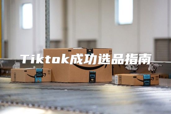 Tiktok成功选品指南