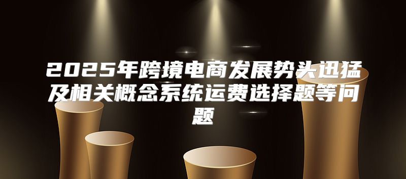 2025年跨境电商发展势头迅猛及相关概念系统运费选择题等问题
