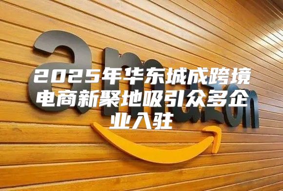 2025年华东城成跨境电商新聚地吸引众多企业入驻