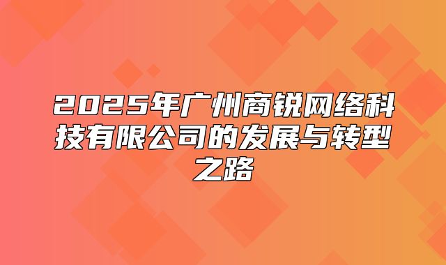 2025年广州商锐网络科技有限公司的发展与转型之路