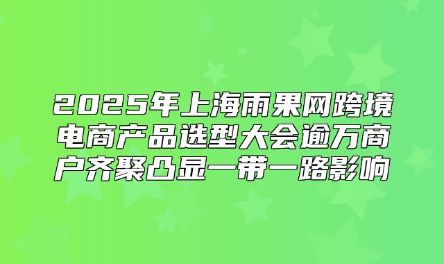 2025年上海雨果网跨境电商产品选型大会逾万商户齐聚凸显一带一路影响