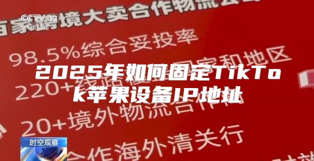 2025年如何固定TikTok苹果设备IP地址