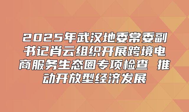 2025年武汉地委常委副书记肖云组织开展跨境电商服务生态圈专项检查 推动开放型经济发展
