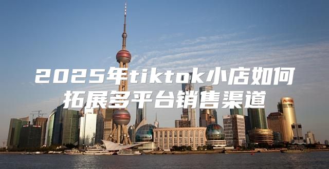 2025年tiktok小店如何拓展多平台销售渠道